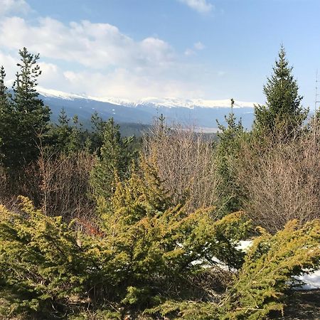 Borovets Hills Apartments - Evergreen Suite Exterior foto